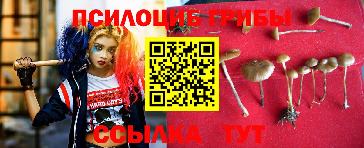 Псилоцибиновые грибы MAGIC MUSHROOMS Избербаш