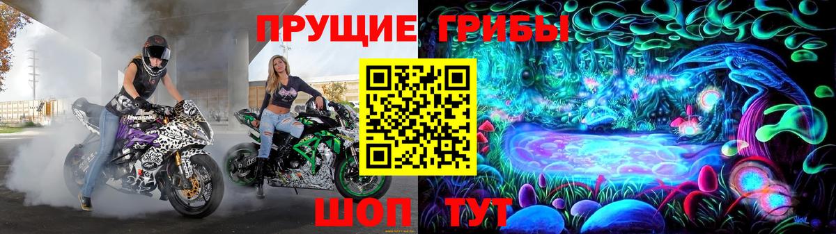 Избербаш  Галлюциногенные грибы Psilocybine cubensis  Вход с VPN  Галлюциногенные грибы Cubensis 