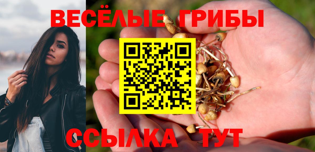 Псилоцибиновые грибы Psilocybine cubensis  Избербаш 