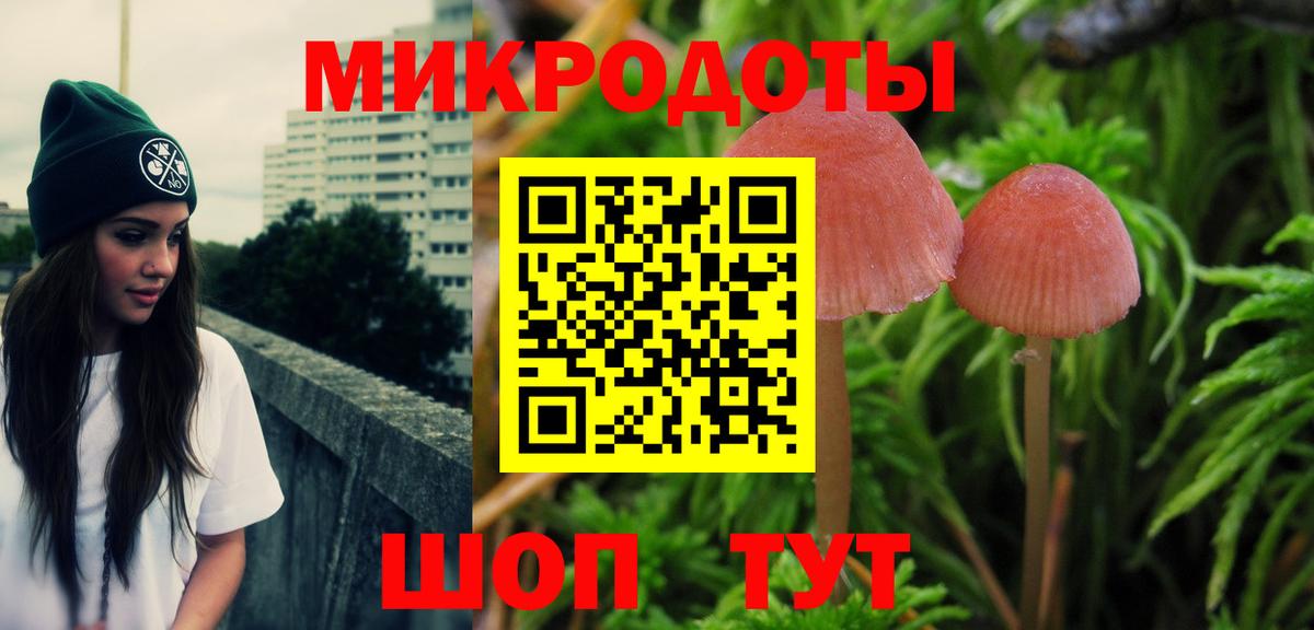 Псилоцибиновые грибы Psilocybine cubensis Избербаш